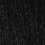PLATINO PONY TAIL Silky Straight 24"