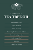 Reenboog BESPROEI | INTENSE HYDRATING SHAMPOO 8oz