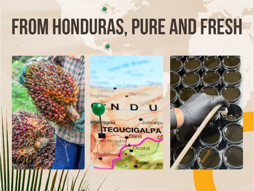 100% Pure Batana Oil from Honduras - Raw Unrefined 4 oz