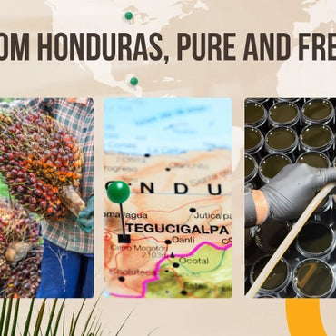 100% Pure Batana Oil from Honduras - Raw Unrefined 4 oz