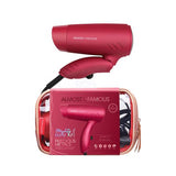 Mini Travel Dryer with Holotone Carrying Bag